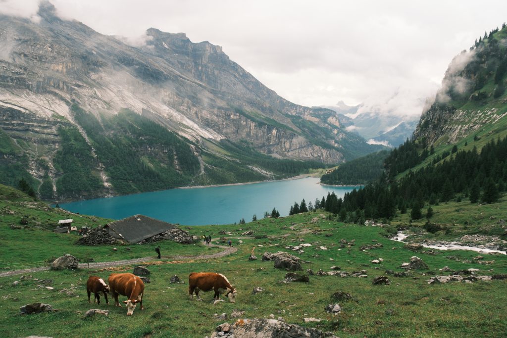 Oeschinensee perfect view over the lake