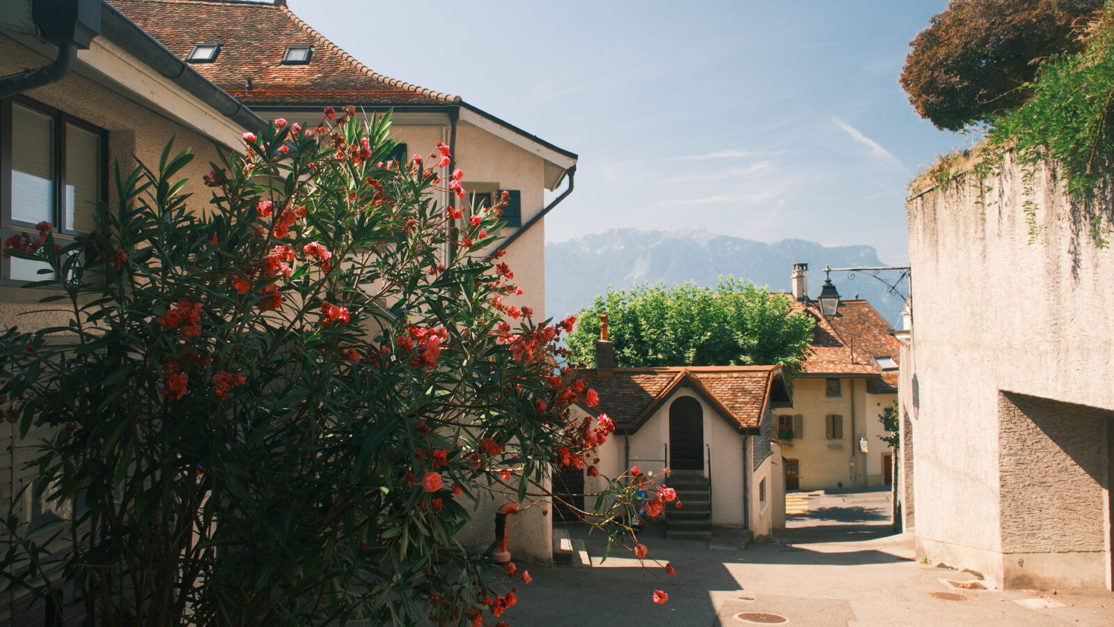 Descending through the Lavaux vineyards towards Vevey