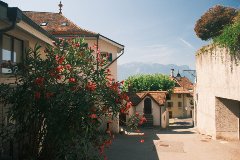 Descending through the Lavaux vineyards towards Vevey